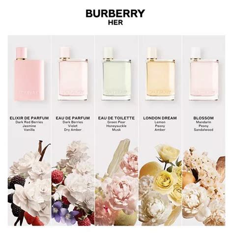 burberry fliughafen|burberry her fragrance.